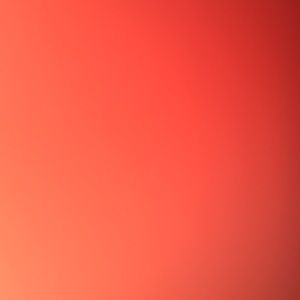 Meet your Posher, Isabel